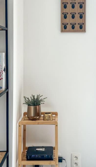 Charmant Logement Brugelette Proche De Pairi Daiza Ngoại thất bức ảnh
