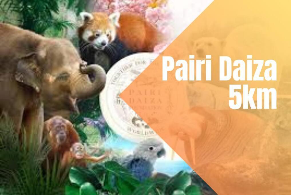 Charmant Logement Brugelette Proche De Pairi Daiza Ngoại thất bức ảnh